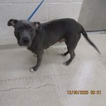 Thumbnail photo of Franklin (51) #2