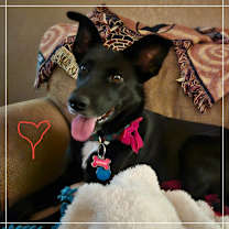 Thumbnail photo of Radar JJ #1