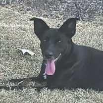 Thumbnail photo of Radar JJ #3