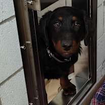 Thumbnail photo of Louise #3