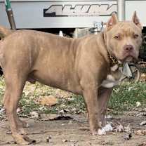 Thumbnail photo of Cam #2