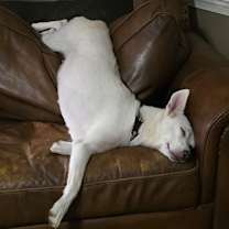 Thumbnail photo of Nora #3