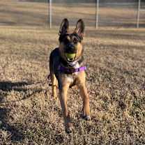 Thumbnail photo of Stevana #3