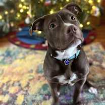 Thumbnail photo of DEUCE #4