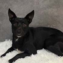 Thumbnail photo of Naomi #1