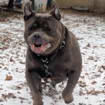 Thumbnail photo of Rey #2