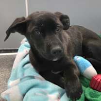 Thumbnail photo of Lindsey #1