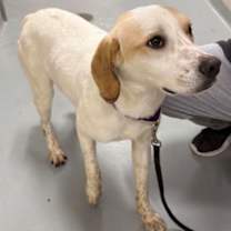 Thumbnail photo of Wyatt #2