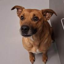 Thumbnail photo of Sunshine #1