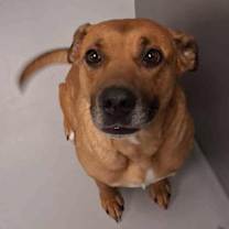 Thumbnail photo of Sunshine #2