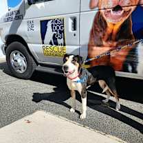 Thumbnail photo of Annie Mae #3