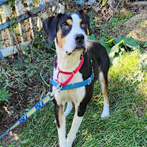 Thumbnail photo of Annie Mae #4