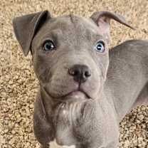 Thumbnail photo of River JuM #1