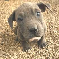 Thumbnail photo of Rory JuM #1