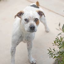 Thumbnail photo of Cynthia #1