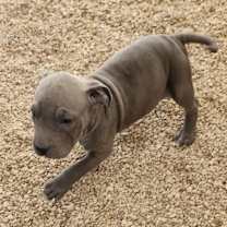 Thumbnail photo of Rory JuM #3