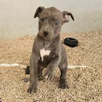 Thumbnail photo of River JuM #4