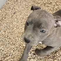 Thumbnail photo of River JuM #3