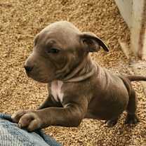 Thumbnail photo of Rory JuM #4