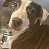 Thumbnail photo of Rhythm #2