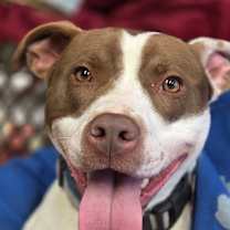 Thumbnail photo of Fiona #2