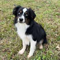 Thumbnail photo of Spigot #4