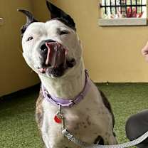 Thumbnail photo of Diamond #3