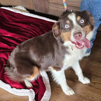 Thumbnail photo of Fergie #2