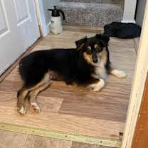 Thumbnail photo of Dolly #2