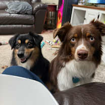 Thumbnail photo of Dolly #3