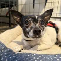 Thumbnail photo of Princess #3