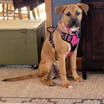 Thumbnail photo of Carmel #2