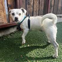 Thumbnail photo of Sweet Tart #2