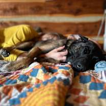 Thumbnail photo of Trinity #2