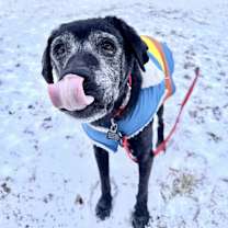 Thumbnail photo of Marty McFly #3