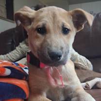 Thumbnail photo of 995 (2025) Kim #1