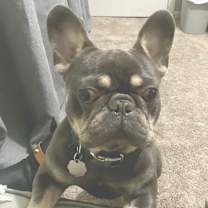 Thumbnail photo of Nikko JuM #1