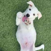 Thumbnail photo of Frosty AL #3