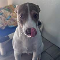 Thumbnail photo of Jack Daniels #3