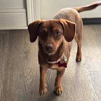 Thumbnail photo of Nestle #1