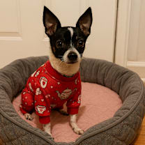 Thumbnail photo of Chico #1