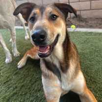 Thumbnail photo of Lilo #1