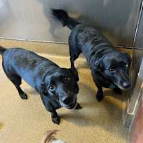 Thumbnail photo of Maya #2