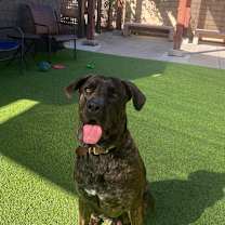 Thumbnail photo of Wick #3