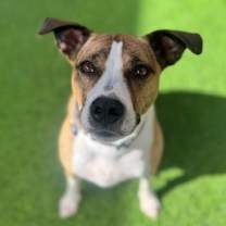 Thumbnail photo of Kiara #3