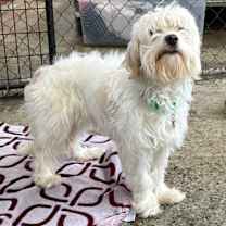 Thumbnail photo of Eve #4