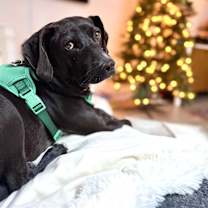 Thumbnail photo of Dark Tower #3