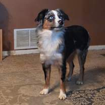 Thumbnail photo of Giavanna (Gigi) #1