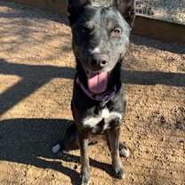 Thumbnail photo of MANTIS #3