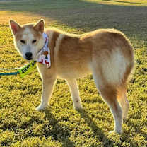 Thumbnail photo of Cleveland #1